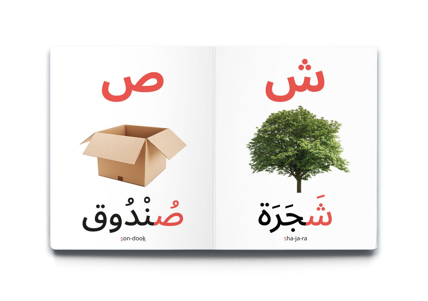 My First Word – Alphabets - كلماتي الأولى – الأبْجَدِيَّة
