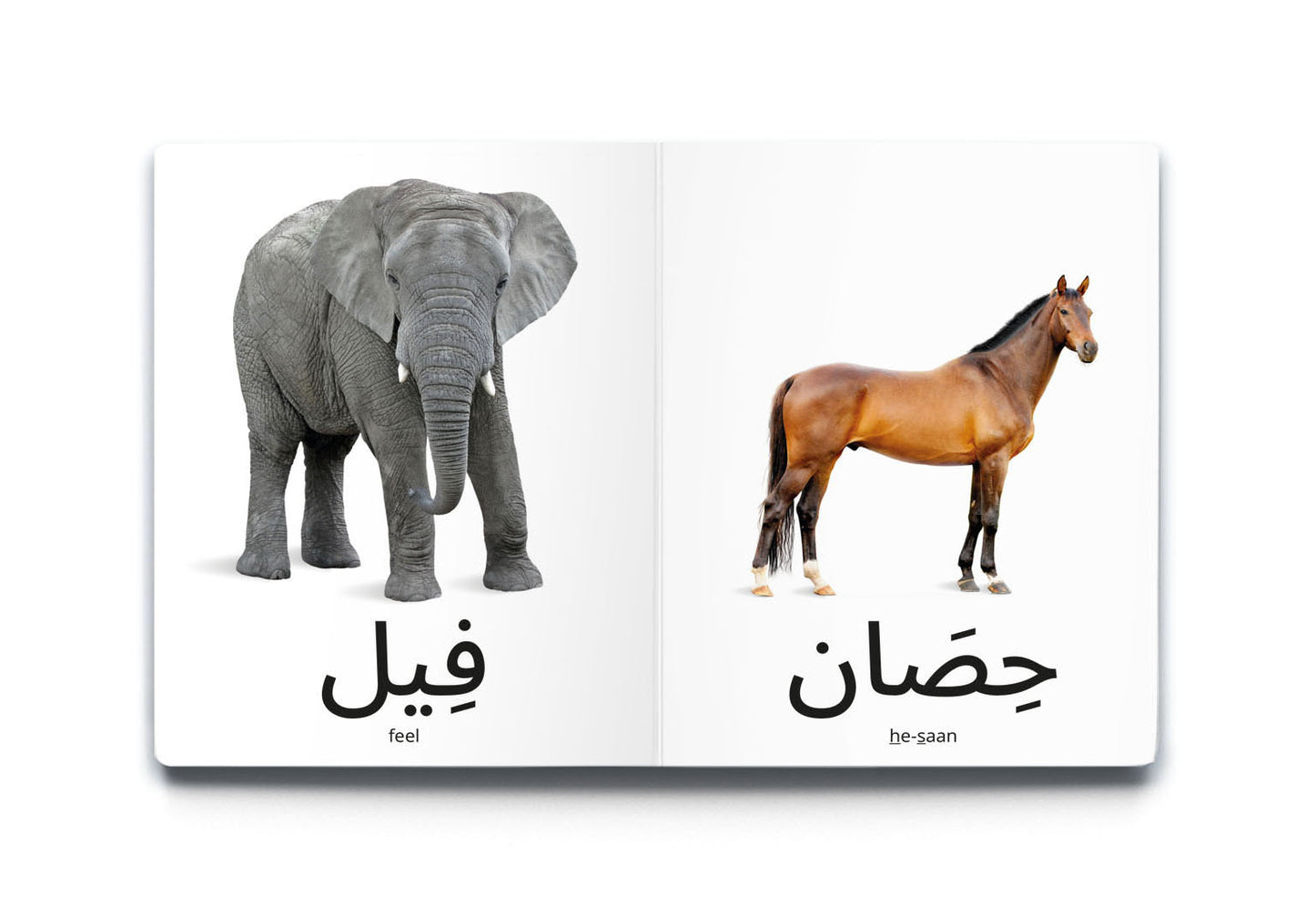My First Word – Animals - كلماتي الأولى – الحَيَوَانَات