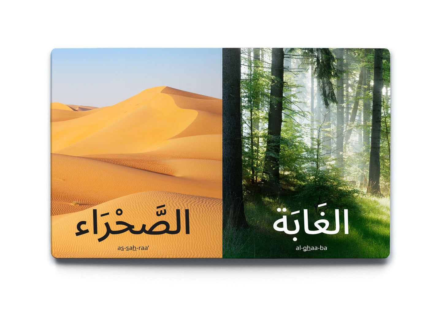 My First Word – Nature - كلماتي الأولى – الطَّبِيعَة