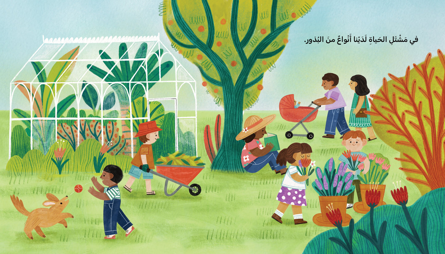 بذور - Seeds