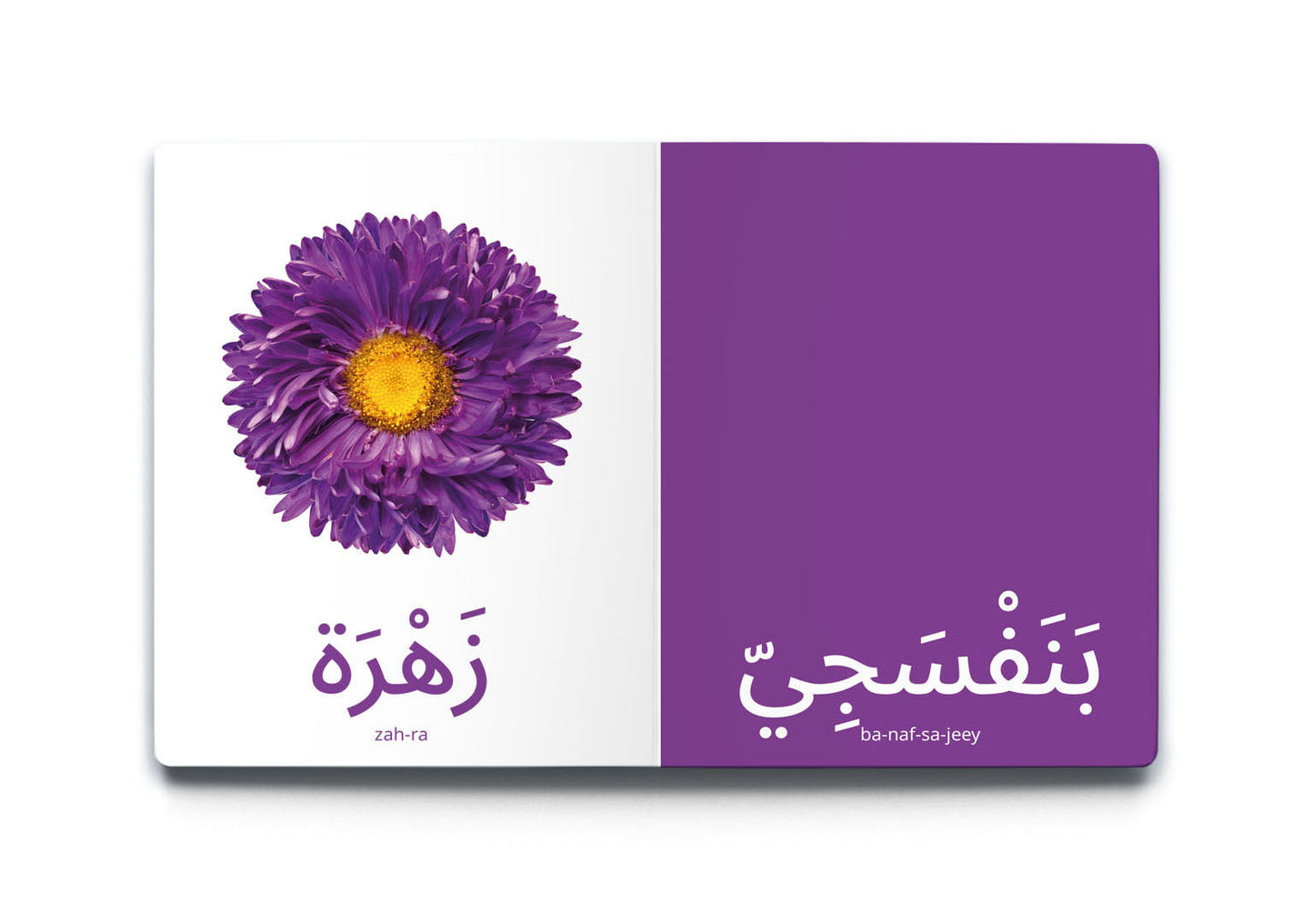 My First Word - Colours - كلماتي الأولى - الألوان