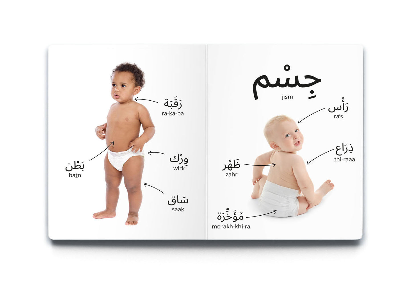 My First Word – My Body - كلماتي الأولى – جِسْمِي