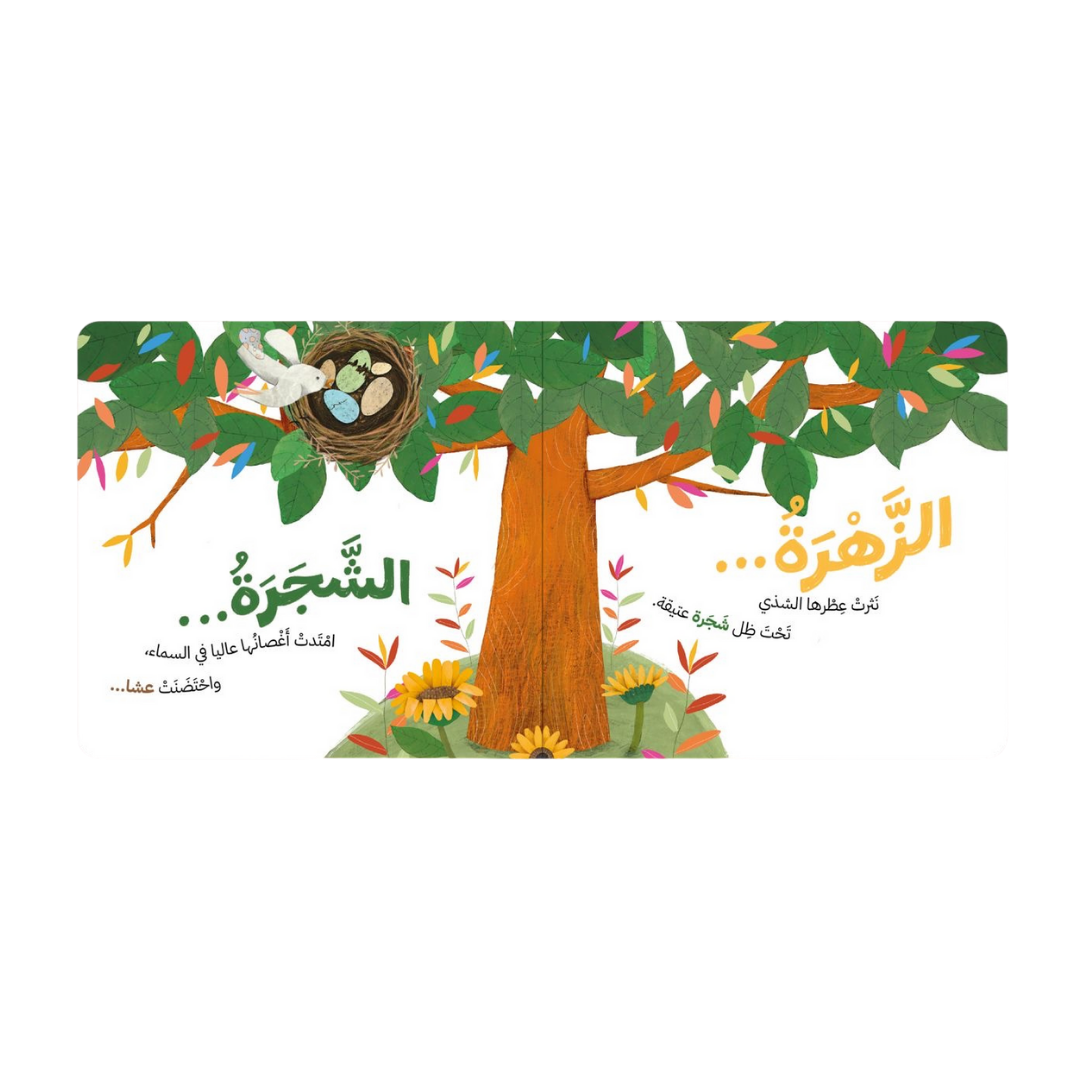 خلف النافذة - Behind the Window